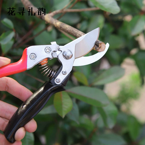 花寻礼韵 Ножницы для садоводства, филиалы, обрезка и обрезка ножницы цветочного искусства из нержавеющей стали, чтобы обрезать ветви