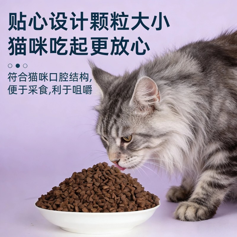 猫粮成猫幼猫通用英短流猫粮