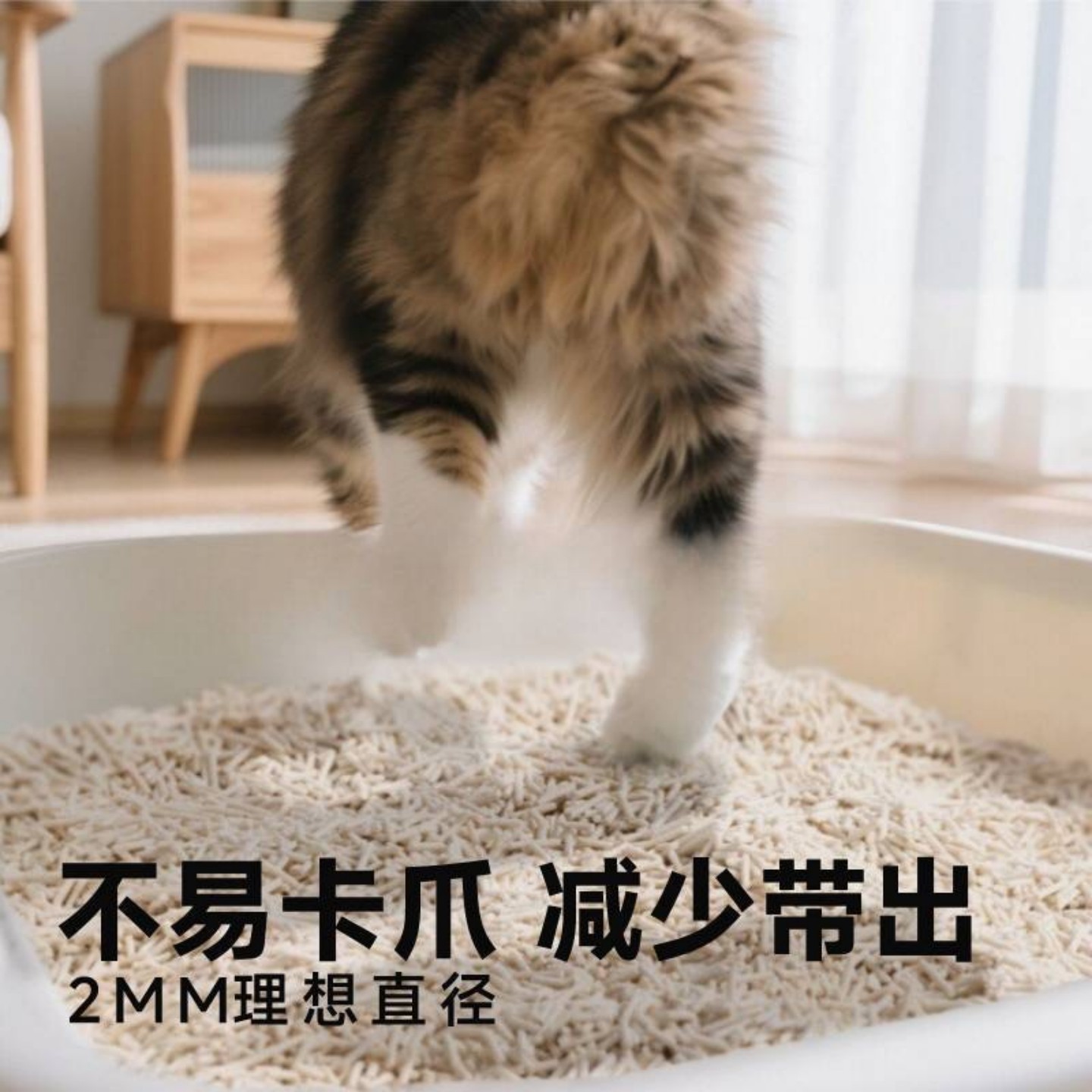 猫咪混合猫砂整箱实惠装