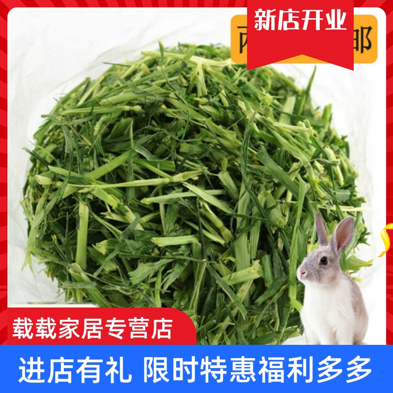 大麦草草段兔粮兔子荷兰猪龙猫粮食饲料干草牧草兔草草-猪饲料(载载家居专营店仅售7.65元)