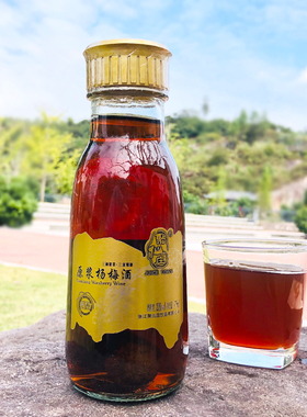 包邮聚仙庄四星原浆杨浙江仙居梅酒发酵酿制果酒杨梅酒微醺梅子酒