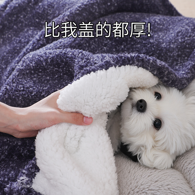 狗毛毯狗被子四季通用小狗睡觉冬季保暖双面绒加厚比熊秋天毛绒毯