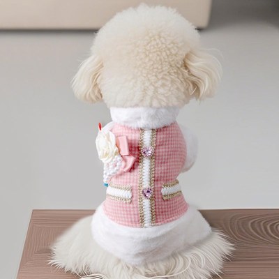 狗狗秋季新款衣服幼犬小型犬泰迪保暖马甲珍珠2025新款两脚衣秋装