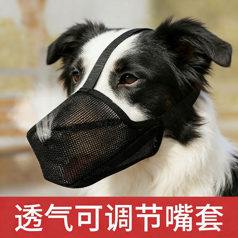 狗嘴套防咬防叫狗狗专用口罩大型犬柯基金毛边牧口罩止吠器可调节
