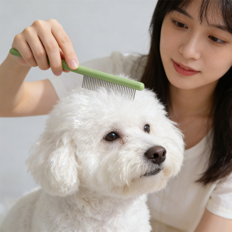 狗狗梳子梳毛专用比熊小型犬狗毛梳泰迪开结梳小狗去浮毛宠物排梳,宠物/宠物食品及用品,猫狗梳子/排梳,淘宝优惠券,粉丝福利购,淘宝优惠卷