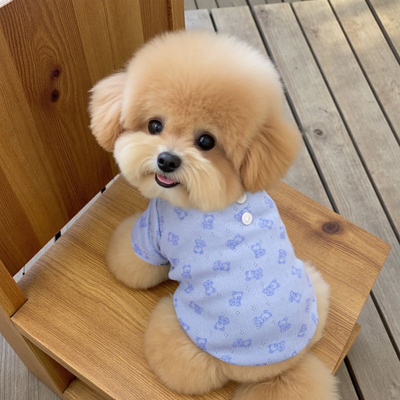 狗狗秋季新款衣服幼犬小型犬泰迪小奶狗防掉毛宠物秋天保暖圆领衫