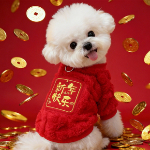 狗狗新年衣服冬天红色喜庆拜年泰迪西高地两脚棉衣加厚保暖可牵引