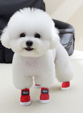 狗狗鞋子小型犬小狗外出软底不掉脚小体比熊泰迪户外散步遛狗防脏