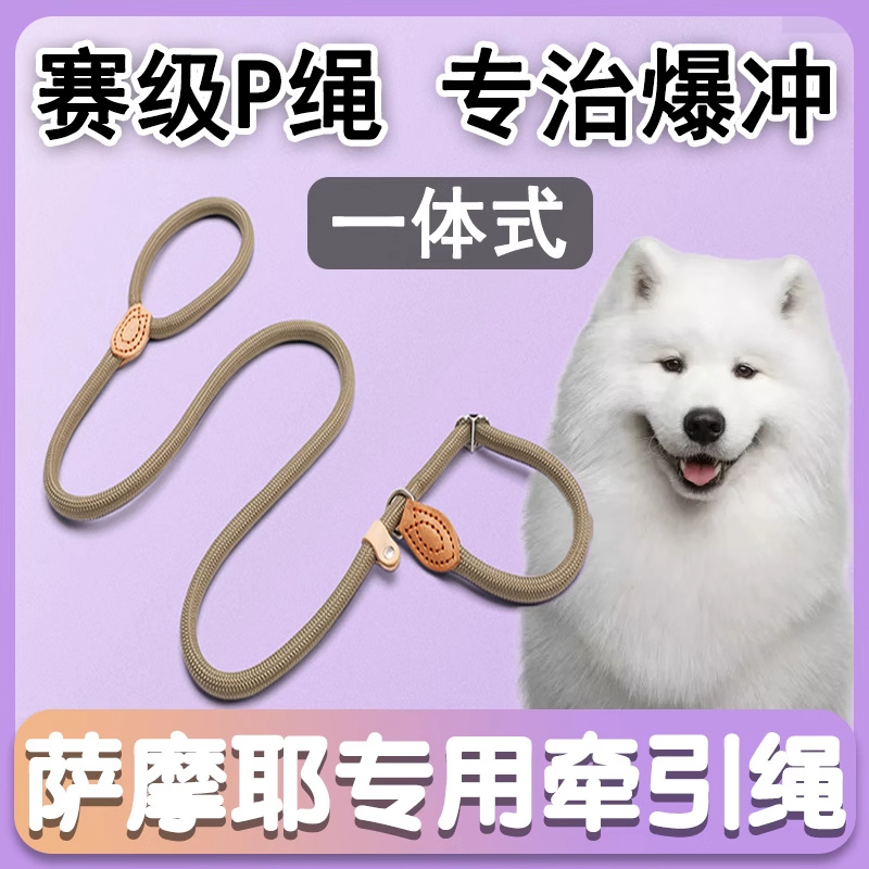 狗狗牵引绳遛狗链子小型犬防爆冲防挣脱萨摩耶专用p链p绳宠物用品