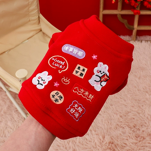 Собачья одежда Shineri Bomeki Corki День маленьких собак Вступление в золотой свитер