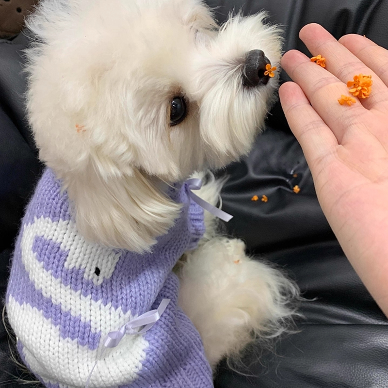 狗狗衣服2025新款冬小狗高颜值天鹅毛衣厚款宠物博美户外宠物用品