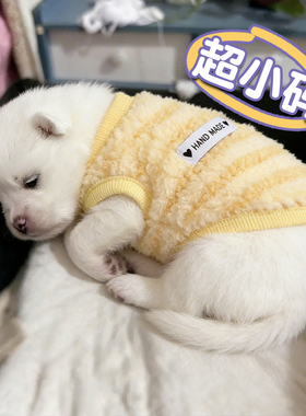 狗狗衣服奶狗冬天加厚防掉毛保暖加绒雪纳瑞马尔济斯舒适两脚背心