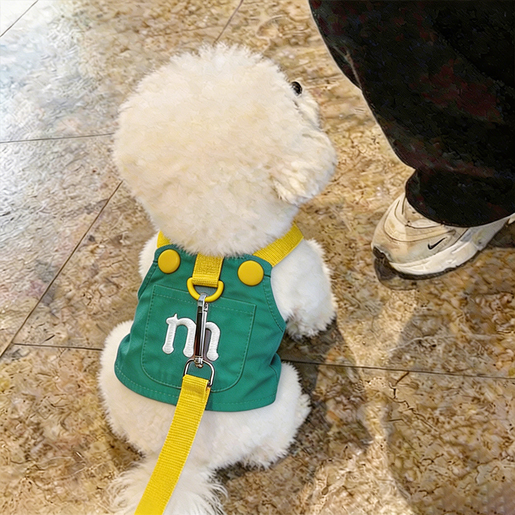 狗牵引绳胸背带小型犬专用背心式比熊遛狗出行宠物用品博美高颜值图片