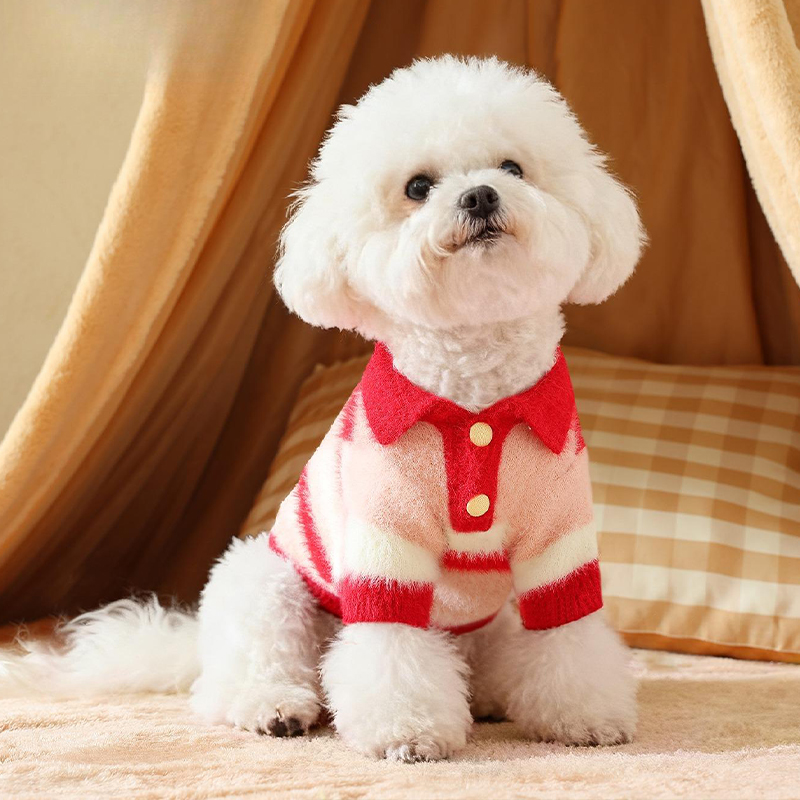 狗狗衣服2025新款冬装小狗冬天加厚保暖比熊约克夏专用两脚衣棉衣