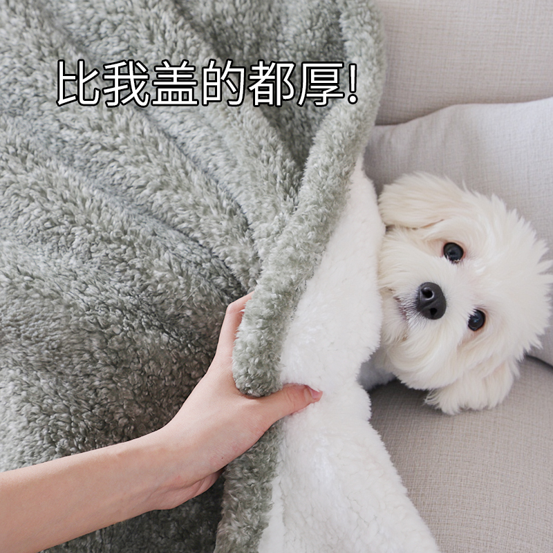 狗狗毛毯睡觉被子冬加厚小狗毯子冬季保暖厚款保温雪纳瑞宠物用品