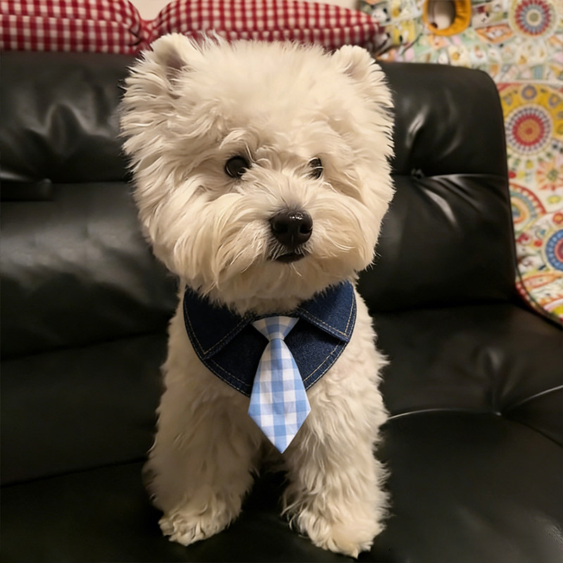 狗狗口水巾围脖小狗围兜小型犬格子领带拍照外出比熊高颜值约克夏
