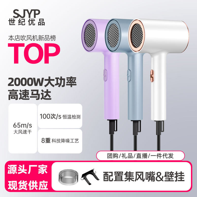 新款2000W大功率电吹风机发廊家用速干护发吹风机跨境礼品筒