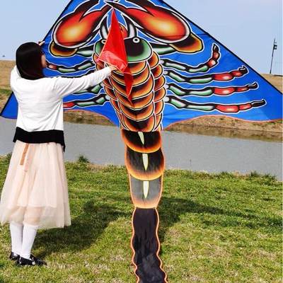New oversized kites巨型风筝特大号成人专用高档风筝