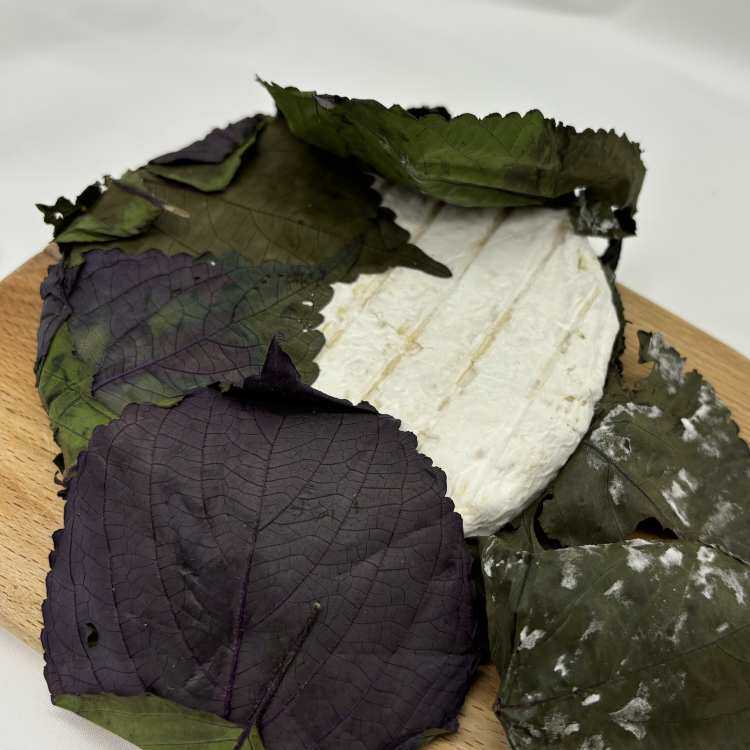 紫苏布里 Brie Perilla Leaves