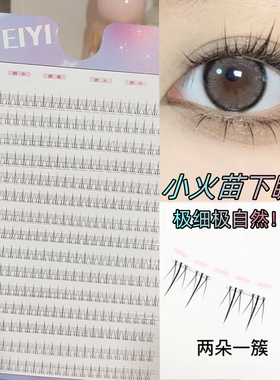 新升级！EIYI15排双尖小火苗睫毛
