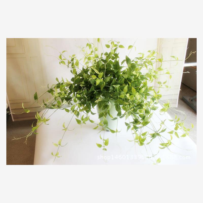 高仿真金银花叶 壁挂藤条 绿植假花 铁线莲叶 壁叶 插花装饰叶