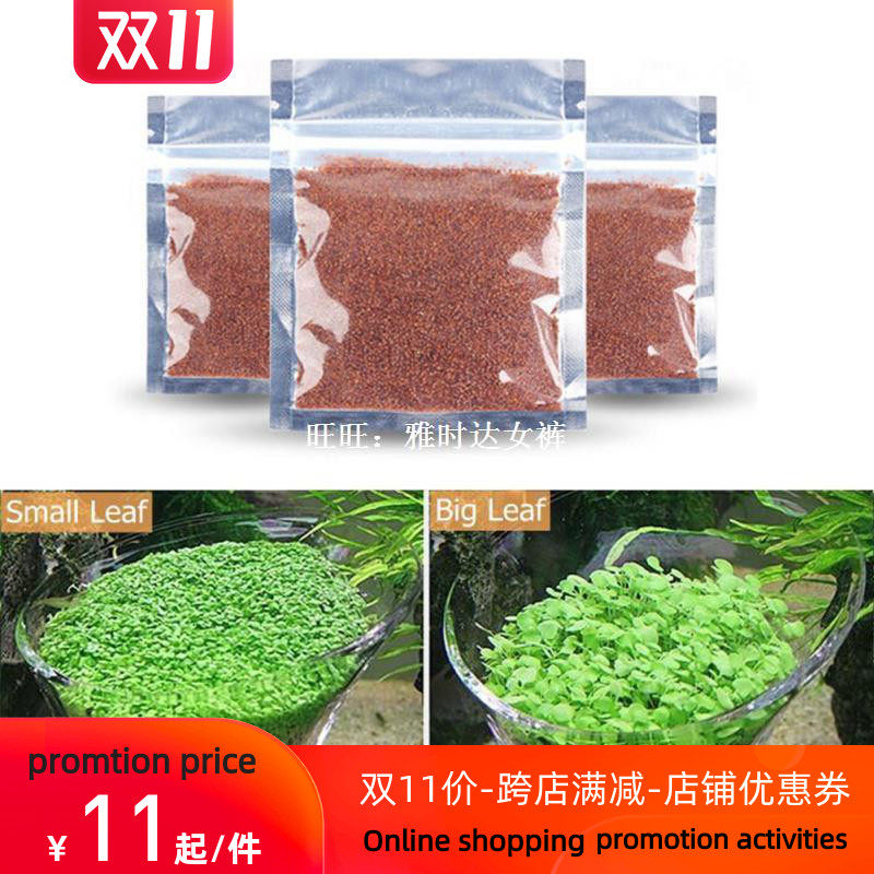 Aquarium Seeds Water Grass Mini Leaf Live Plant Fish Tank - 实物图