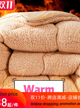 The quilt blanket Lambs wool Warm and comfortable羊羔绒被子