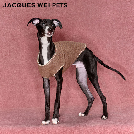 jacques wei pets设计师官方店2023aw宠物深棕羊绒夹克