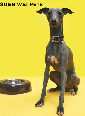 jacques wei pets设计师官方店2023aw萨摩亚造型竹纤维宠物碗