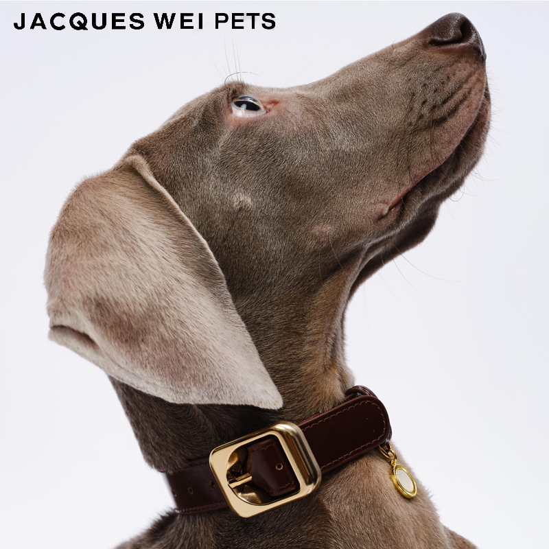 jacquesweipets宠物项圈