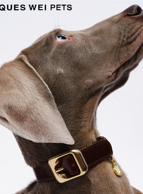 jacques wei pets设计师官方店2023aw雕塑感金属扣真皮宠物项圈