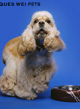 jacques wei pets设计师官方店2023aw萨摩亚造型大理石宠物碗