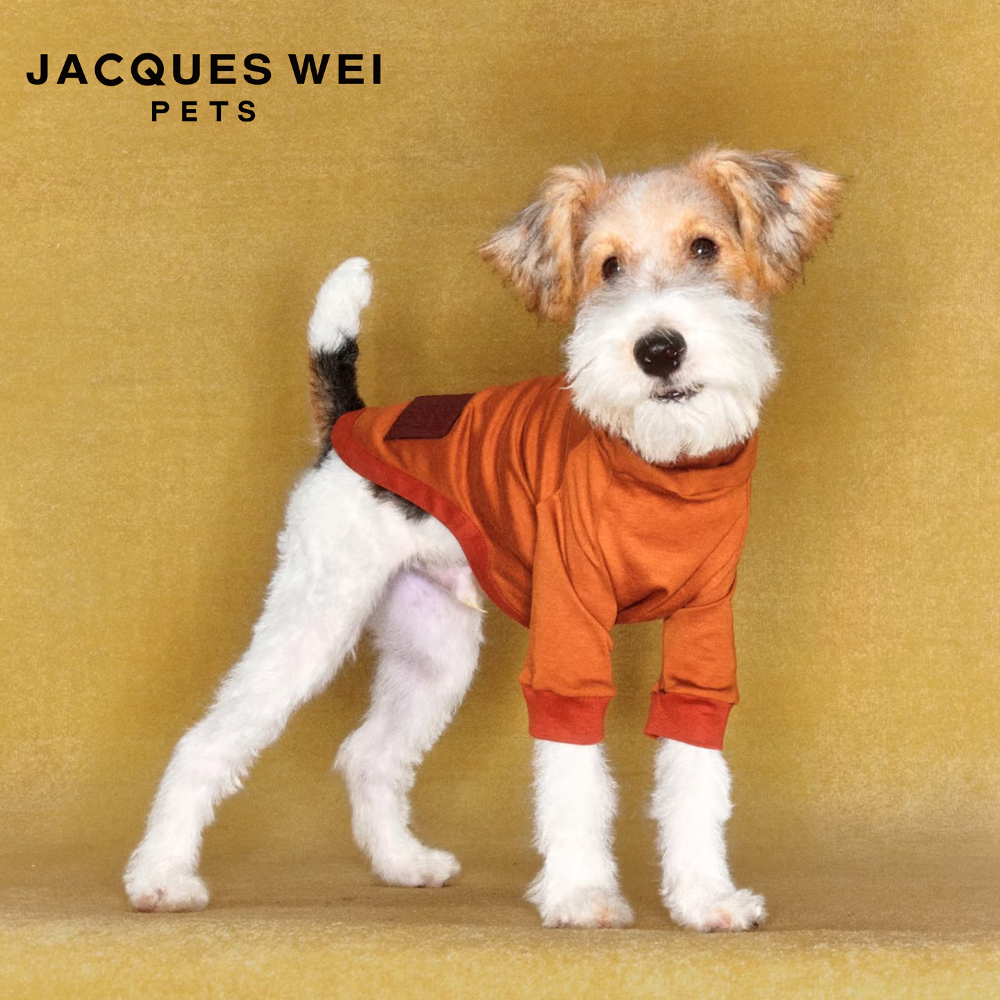 JACQUESWEI设计师款狗狗衣服