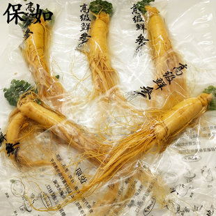 保鲜参新鲜人参大支整根白参东北特产吉林长白山参片泡酒煲汤
