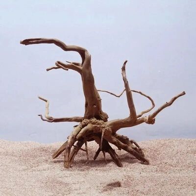 NaturalDriftwoodCuckR