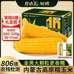 【试吃2根】灶小美内蒙古黄糯玉米营养早餐粗粮新鲜粘苞米棒