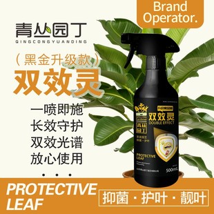 锦卉直播黑金双效灵亮叶抑菌黄叶黑叶落叶花卉绿植直喷园艺通用型