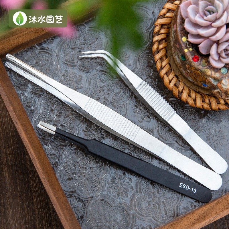 多肉专用镊子 不锈钢镊子防滑修根植物上盆种植多肉夹枯叶工具