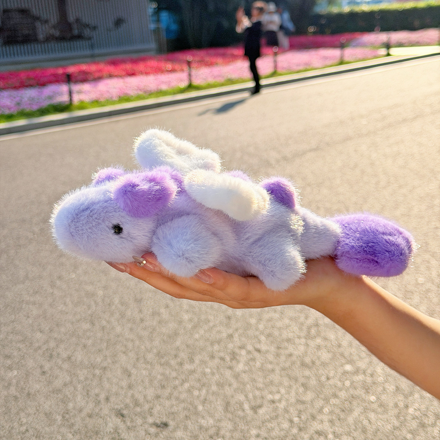 NewToys 可爱情侣紫色小飞龙梦龙毛绒趴趴玩偶掌中宝公仔生日礼物