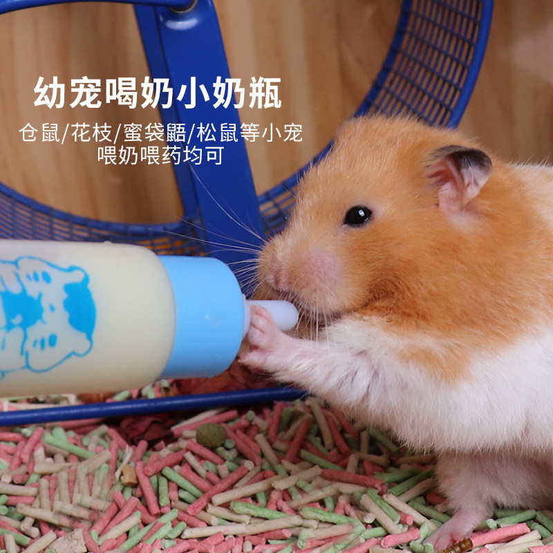 仓鼠小奶瓶幼崽喂奶喂药用品花枝鼠豚鼠龙猫刺猬松鼠蜜袋鼯喂奶瓶