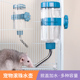 兔子滚珠水壶花枝蜜袋鼯龙猫豚鼠刺猬挂式 饮水器大容量松鼠喝水器