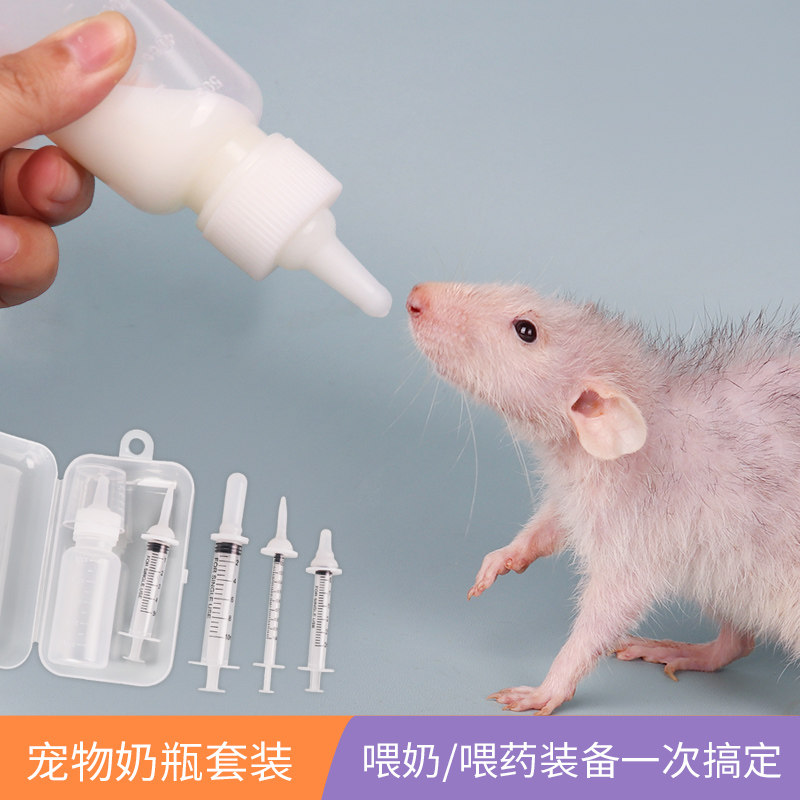 花枝鼠奶瓶套装刺猬龙猫仓鼠用品喂奶喂药器松鼠兔子幼崽针管奶瓶