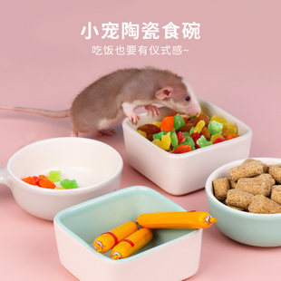 花枝鼠碗龙猫食盆陶瓷防打翻零食喂食器刺猬食盒大号食碗食盘用品
