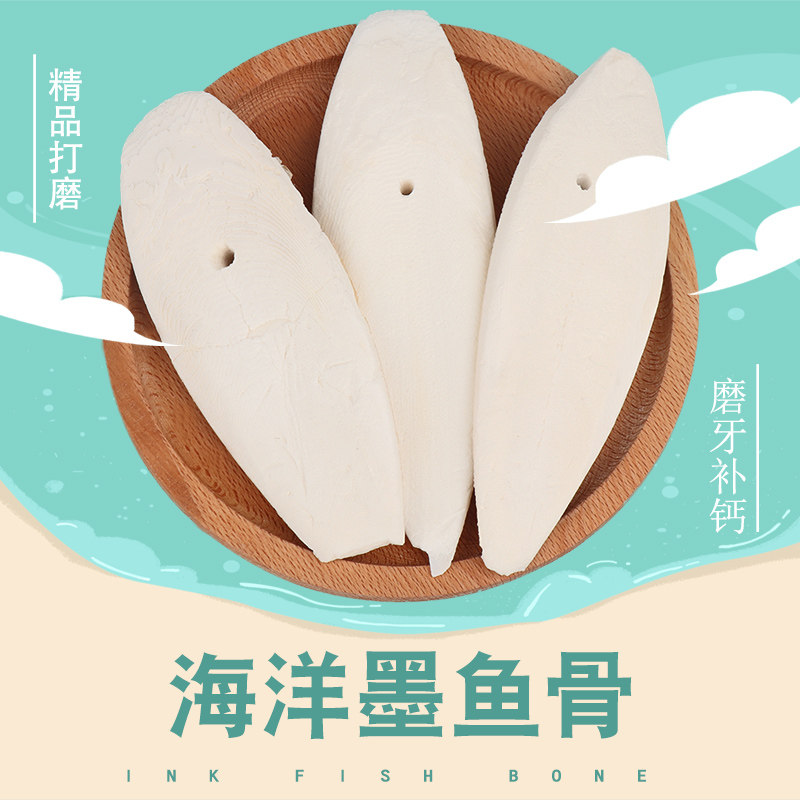 花枝鼠零食钙精致打磨乌贼骨墨鱼骨水龟爬虫鹦鹉鸟刺猬磨牙零食