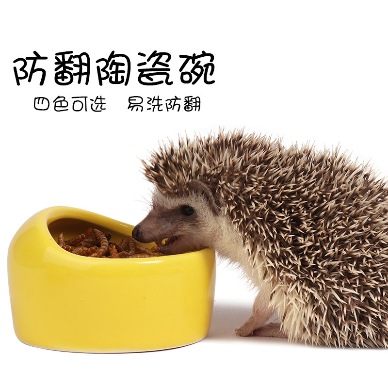 刺猬陶瓷碗食物花枝鼠粮食碗食盒用品喂食器食盆仓鼠蜜袋鼯饭碗