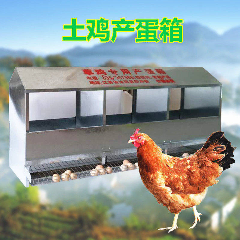 散养鸡产蛋箱热镀锌蛋种鸡蛋窝畜畜牧/养殖器械
