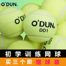 欧顿DD1网球训练球大学选课耐磨高弹幼儿园投掷按摩宠物球多用球
