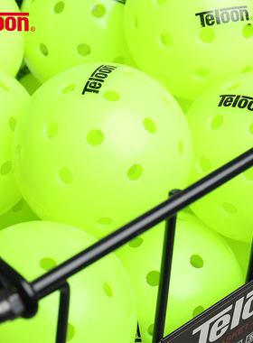 Teloon天龙匹克球洞洞球训练室内室外专业比赛滚塑40孔pickleball