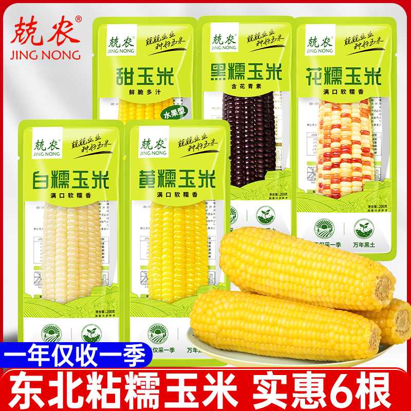 兢农黄糯玉米东北苞米玉米棒