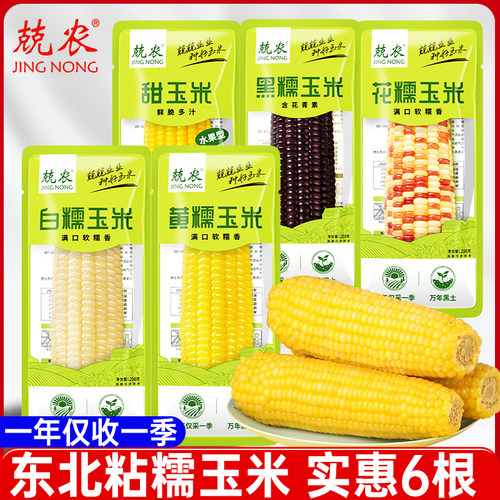 兢农黄糯玉米东北苞米玉米棒